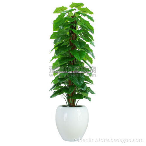 new production high imitation artificial alocasia tree on sale